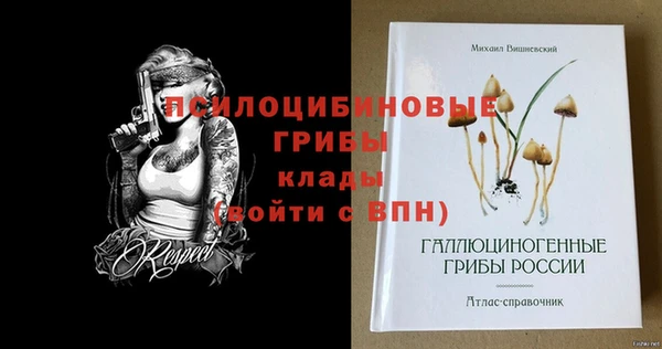 мяу мяу мука Абаза