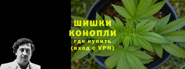 прущий лед Нея