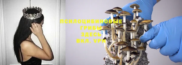 винт Нефтегорск
