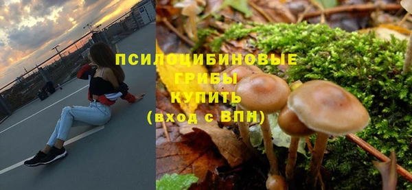 прущий лед Нея